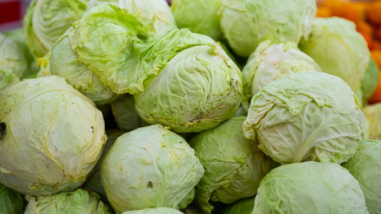 Pile of green cabbages