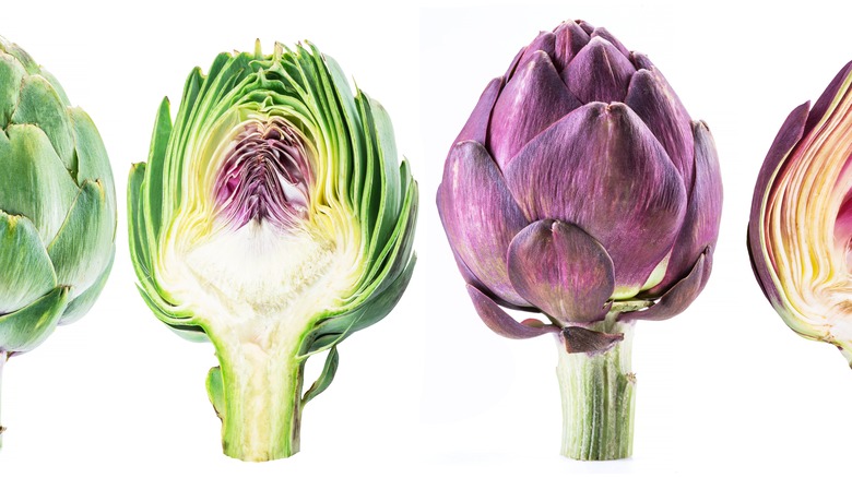 Artichokes on white background