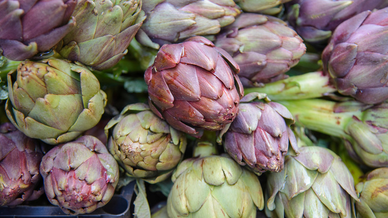 green and purple artichokes