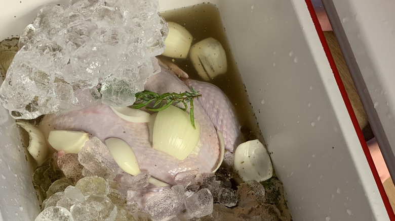 brining turkey in cooler