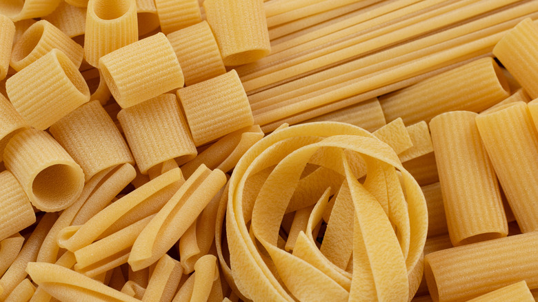 Assorted varieties of bronze-cut pasta showing their characteristic surface texture