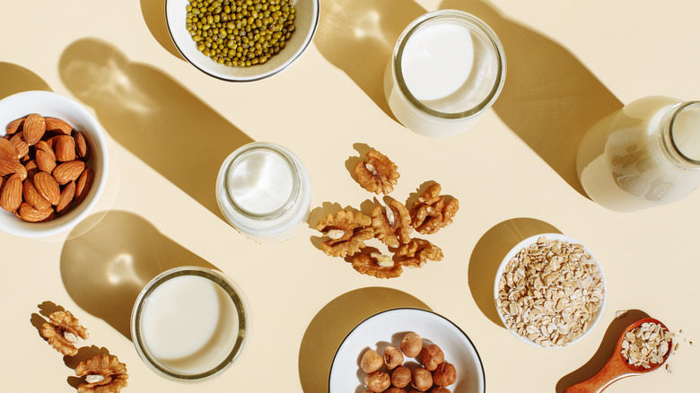 Bowls of nuts and cups of plant milks are arranged on a white table.