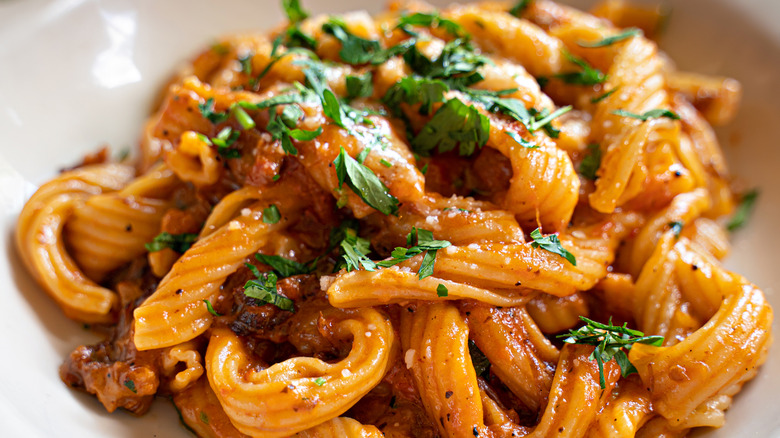 garganelli with lamb