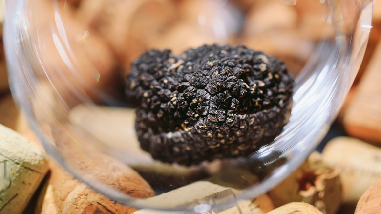 Black truffle in glass display