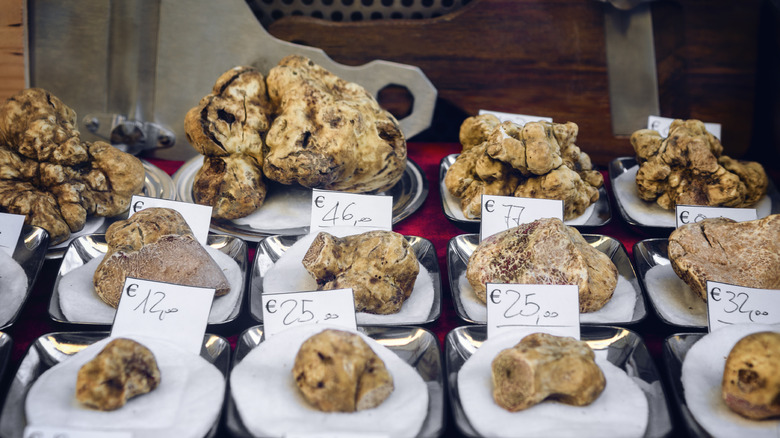 White truffles for sale