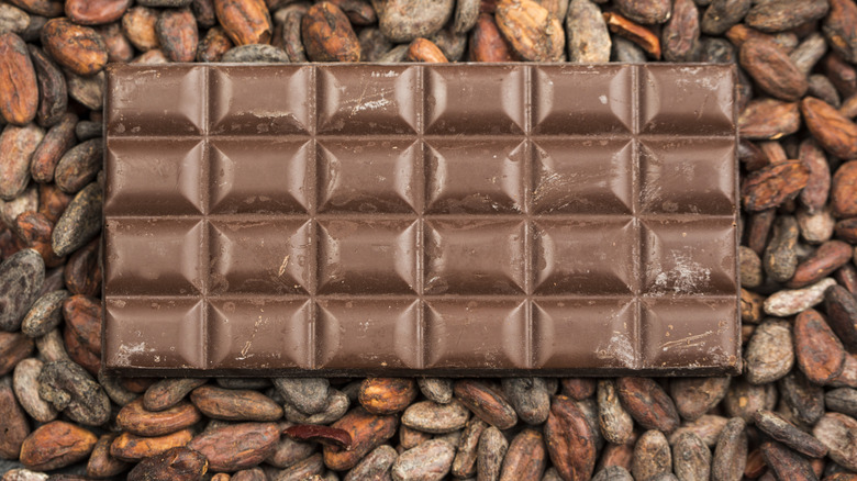 milk chocolate bar against cacao bean background