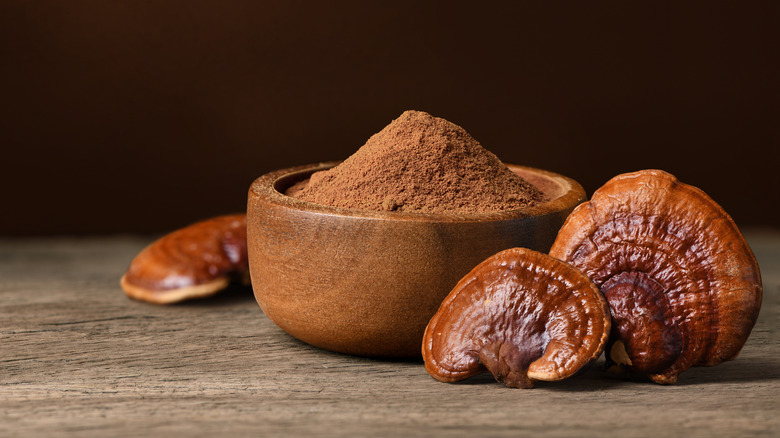 Bowl of reishi mushroom powder