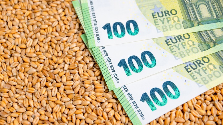 hundreds of euros sit on a pile of grain