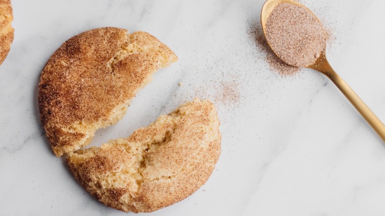 Snickerdoodle cookie with spoonful of cinnamon