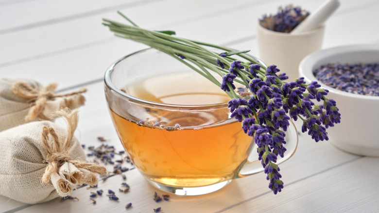 hot tea with fresh lavender