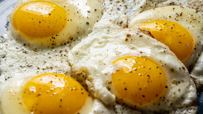 Four sunny-side-up eggs.