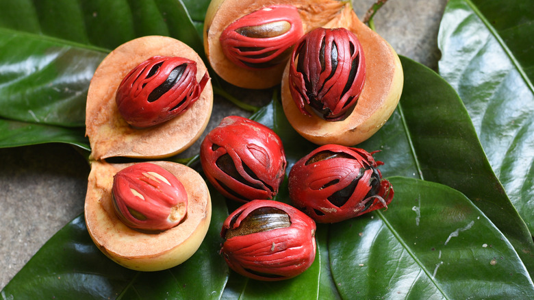 Mace encasing a nutmeg seed