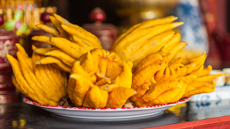 A plate of fresh Buddha's hand fruits