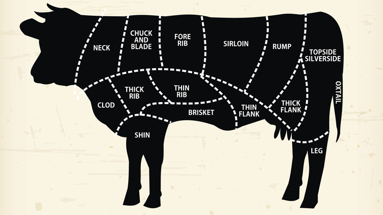 cuts of beef on cow