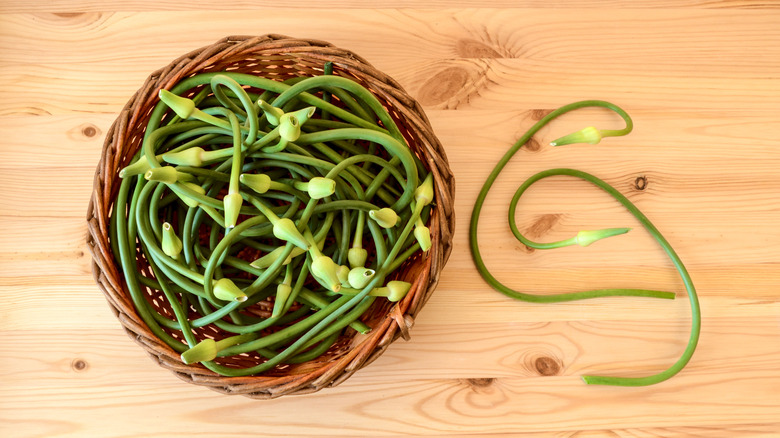 Basket of garlic scapes