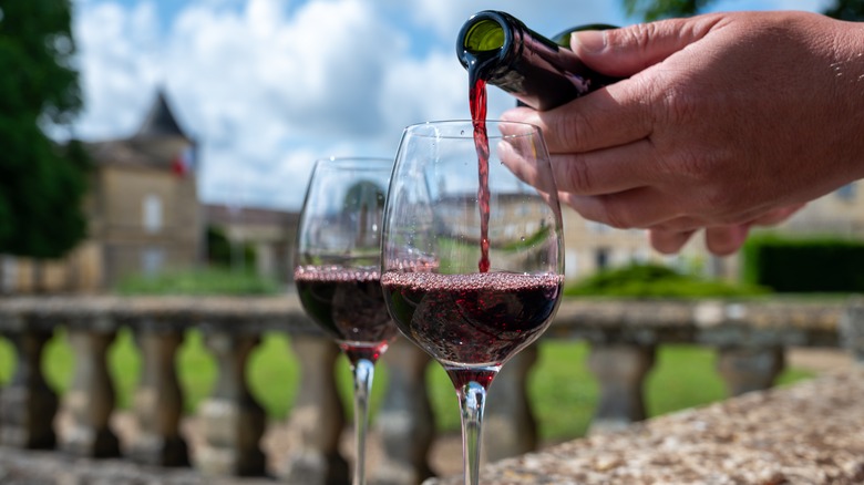 pouring wine in a vineyard