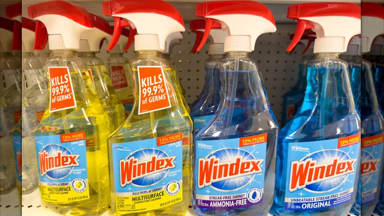 Four bottles of Windex on a shelf