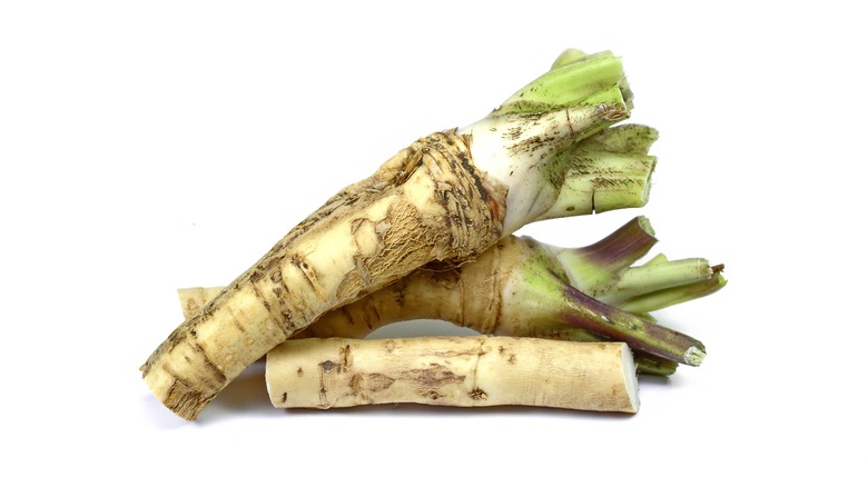 horseradish