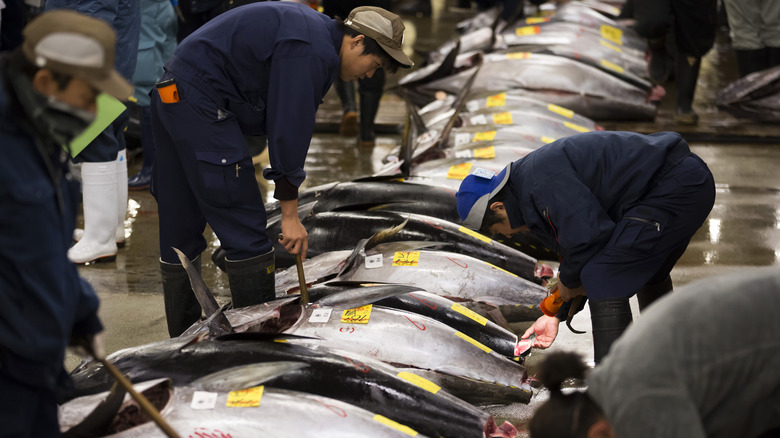 tuna auction in Japan