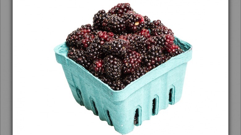 freshly picked Marionberries paper basket