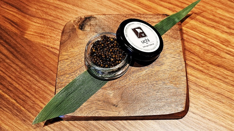 Jar of Kaluga caviar