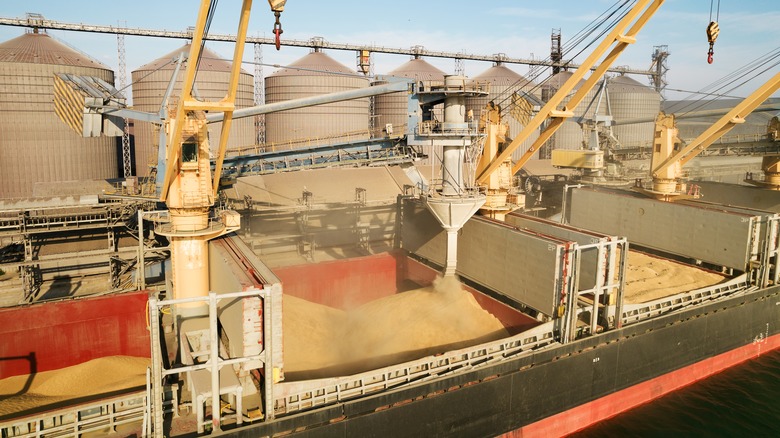 grain on cargo ship