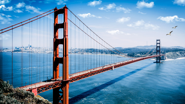 San Francisco's Golden Gate Bridge