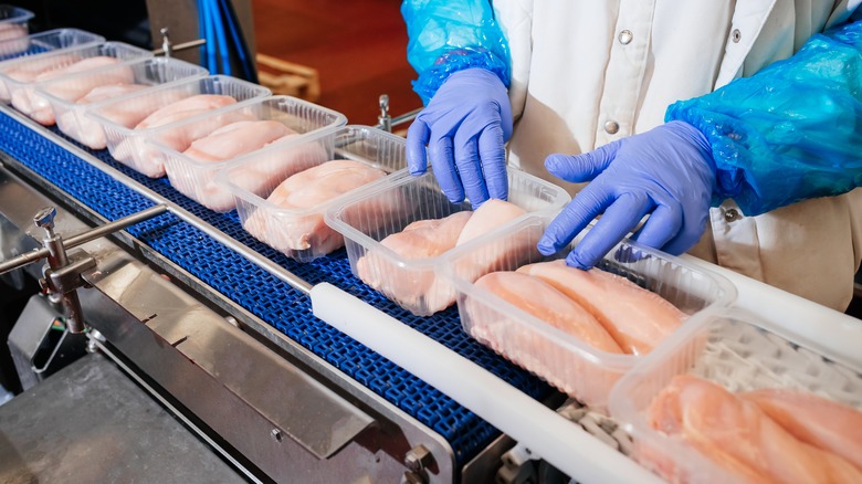 processing factory worker inspecting poultry