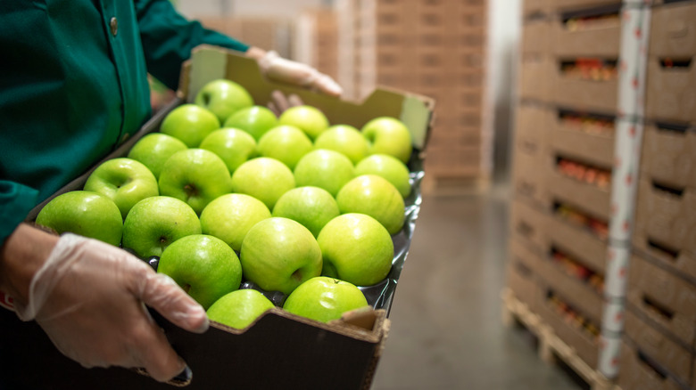 green apples in stockroom