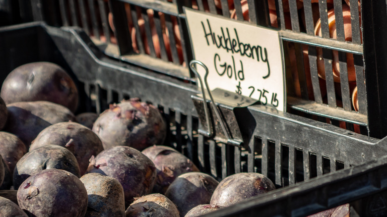 Boxed huckleberry gold