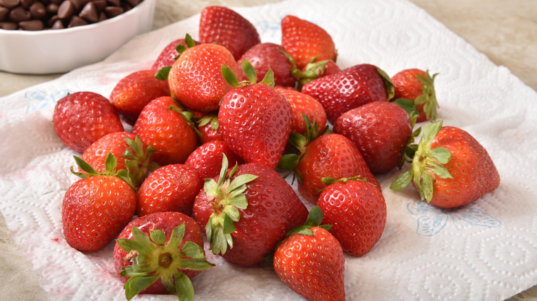 strawberries dried on paper towel