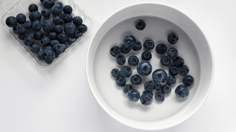 Blueberries in a vinegar bath