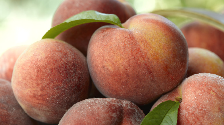 pile of ripe peaches