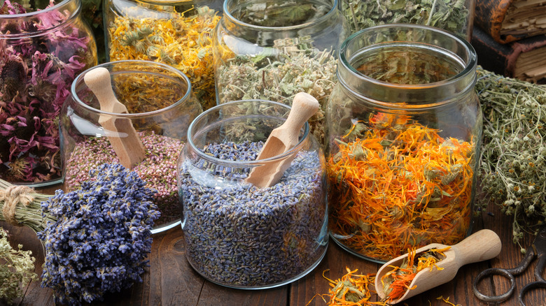 jars of dried herbs