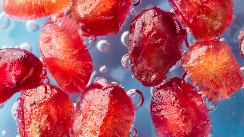 underwater pomegranate seeds