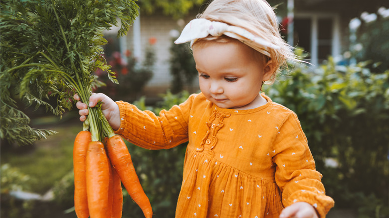 young child holding carrots