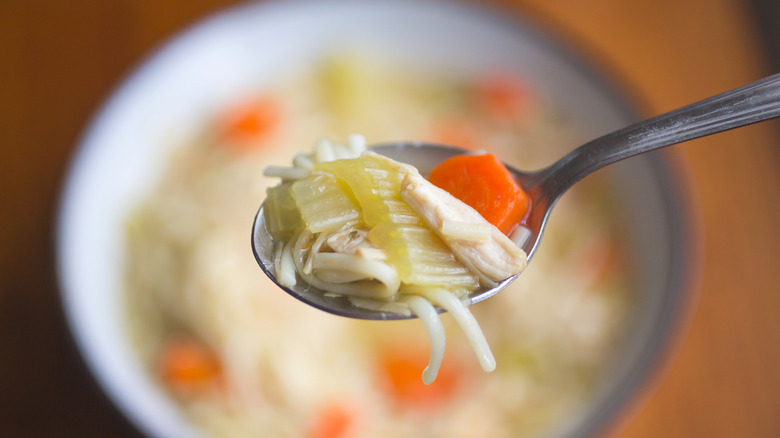 Close-up of a spoon holding chicken noodle soup