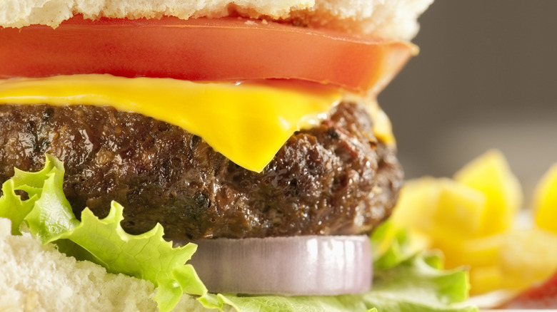 close up of a cheeseburger