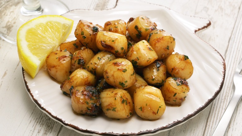 Cooked scallops on a scallop shell-shaped plate