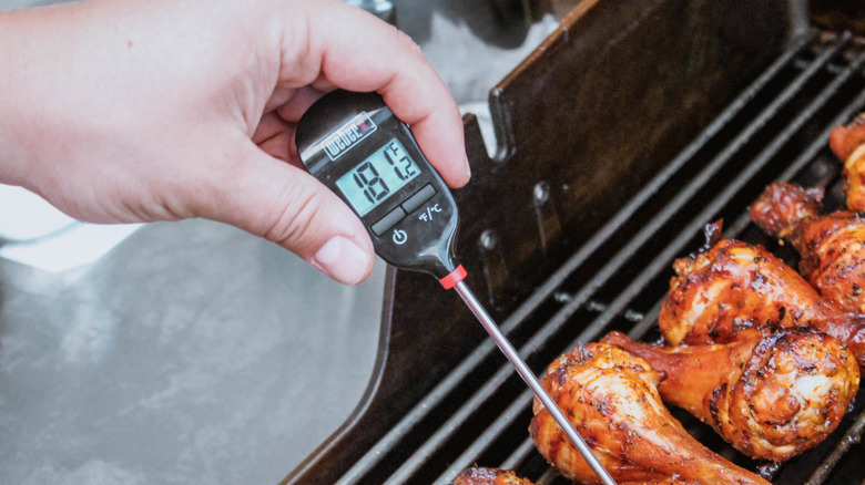 Hand holding food thermometer