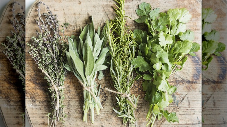 Four different herbs on a cutting board