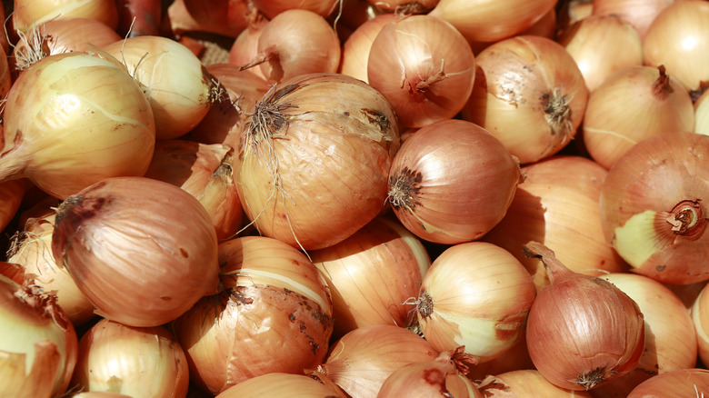 A bunch of brown onions