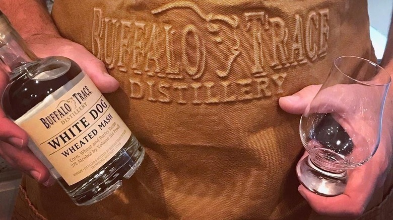 Distiller holding a bottle of Buffalo Trace White Dog