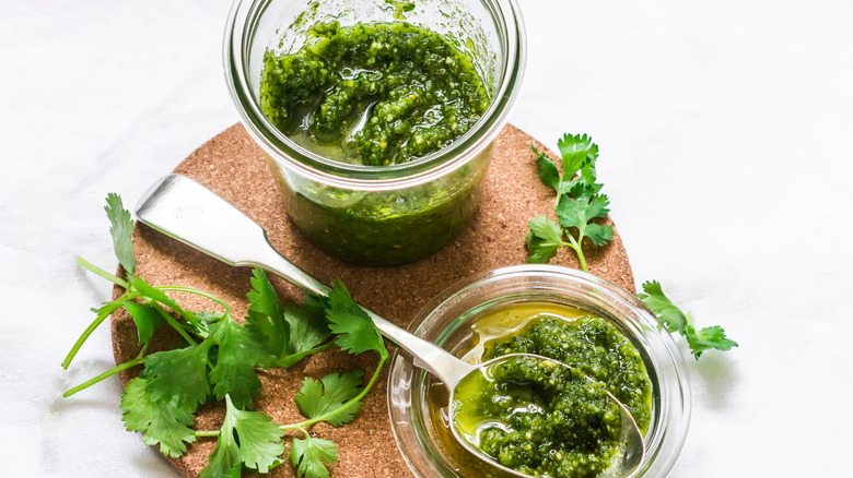 Jar of pesto with fresh cilantro leaves