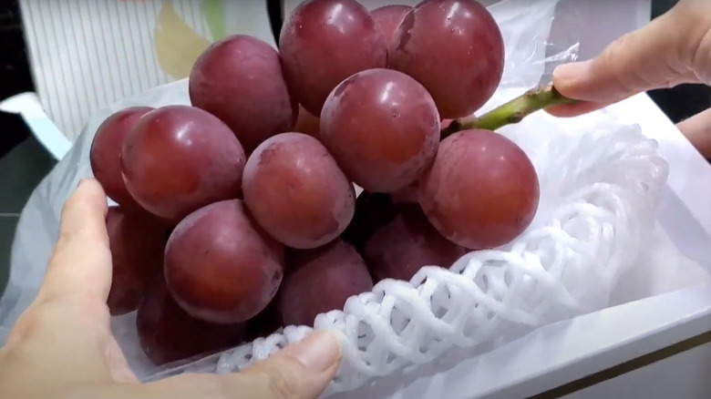 ruby roman grapes placed in box