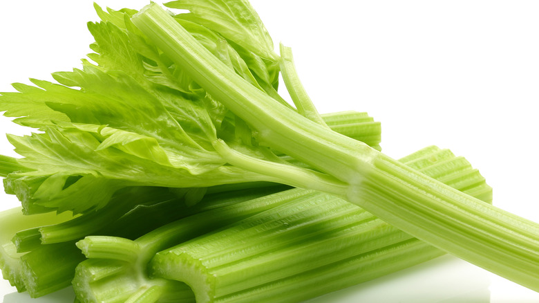 Fresh celery against a white background