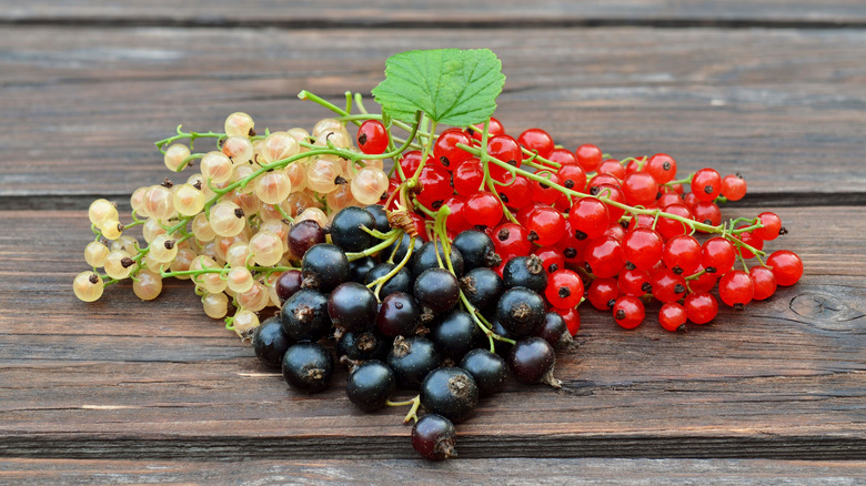 Currants in three colors