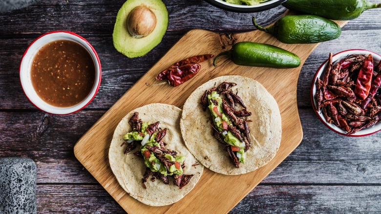 grasshopper tacos with toppings