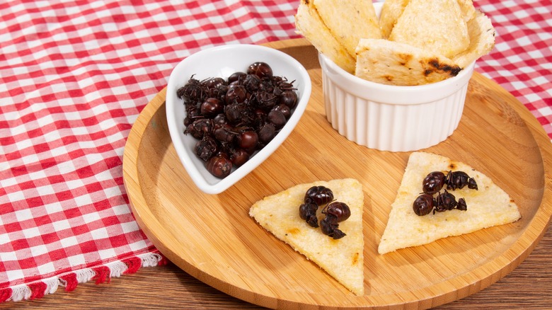 toast topped with black ants