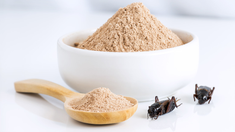 bowl of cricket powder